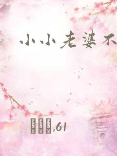 小小老婆不受宠