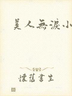 美人无泪小说