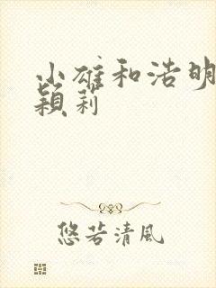 小雄和浩明夹击颖莉