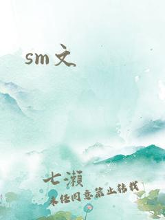 sm文