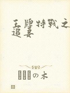 王牌特战之军少追妻