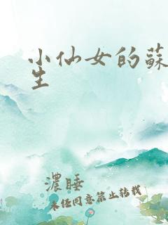 小仙女的苏撩先生