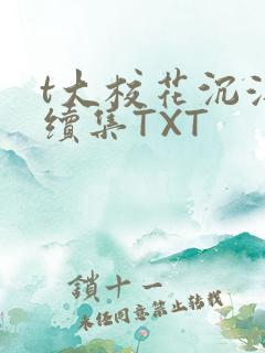 t大校花沉浮录续集TXT
