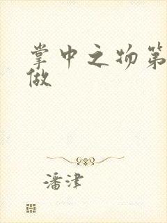 掌中之物第一次做