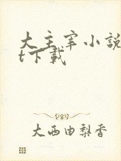 大主宰小说txt下载