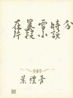 在暴雪时分高能片段小说