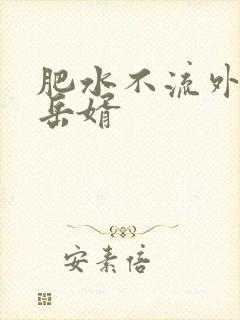 肥水不流外人田岳婿