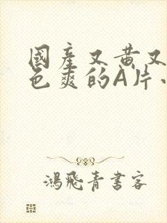 国产又黄又大又色爽的A片小说