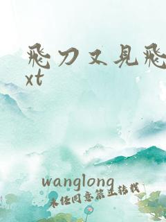 飞刀又见飞刀txt