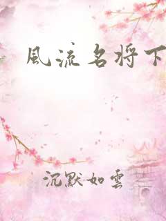 风流名将下载