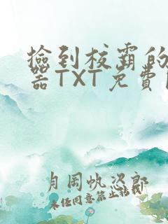 捡到校霸的遥控器TXT免费阅读