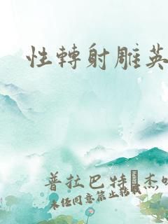 性转射雕英雄传