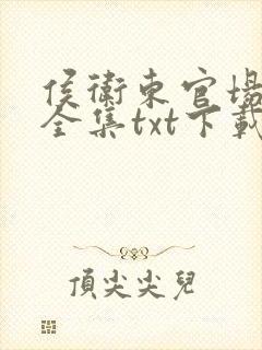 侯卫东官场笔记全集txt下载