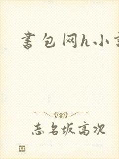 书包网h小说