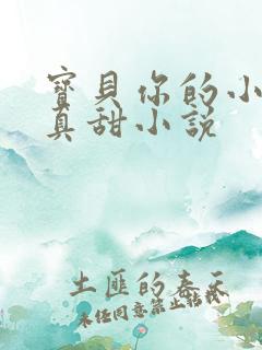 宝贝你的小花园真甜小说