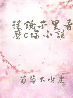 从镜子里看我怎么c你小说