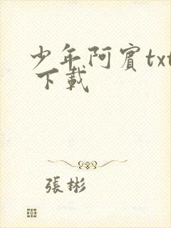 少年阿宾txt 下载