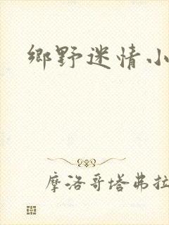乡野迷情小村医