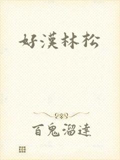 好汉林松