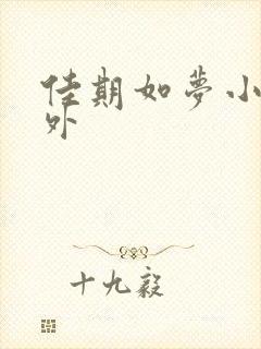 佳期如梦小说番外