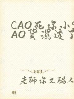 CAO死你小SAO货湿透了学长