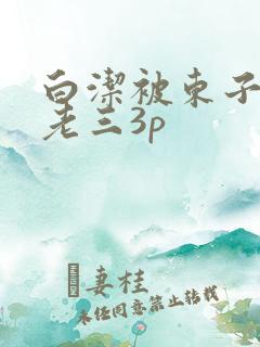 白洁被东子老二老三3p