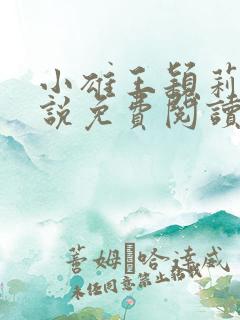 小雄王颖莉的小说免费阅读全文