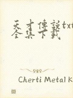 天才传说txt全集下载