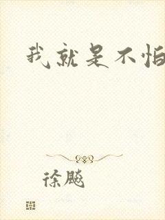 我就是不怕小说