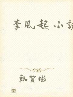 李风起 小说