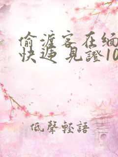 偷渡客在缅北送快递 见证100种逃亡