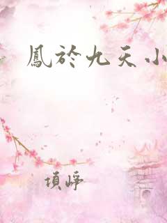 凤于九天小说