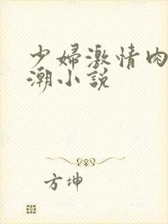 少妇激情肉欲高潮小说