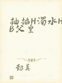 抽插H浊水H嫩B父皇