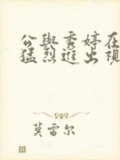 公与秀婷在厨房猛烈进出视频