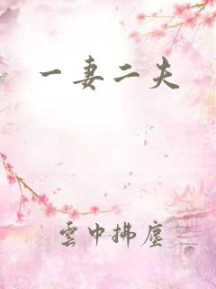 一妻二夫