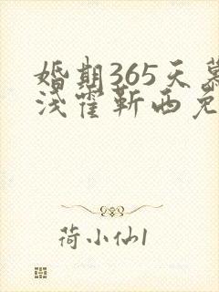 婚期365天慕浅霍靳西免费阅读