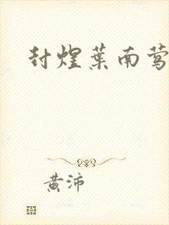 封煜叶南莺小说