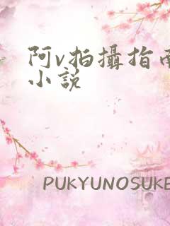 阿v拍摄指南说小说