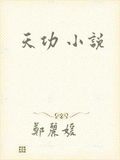 天功 小说