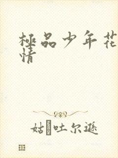 极品少年花都燃情