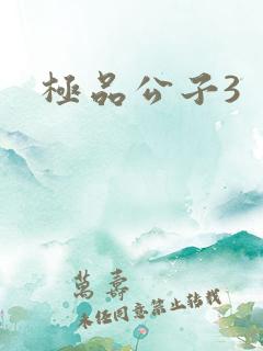 极品公子3
