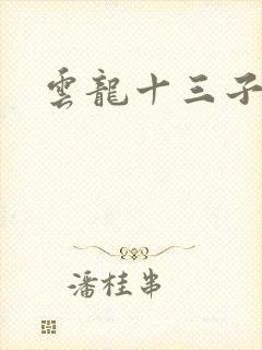 云龙十三子