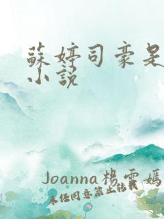 苏婷司豪是什么小说