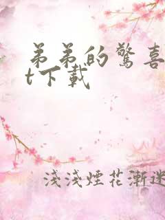 弟弟的惊喜txt下载