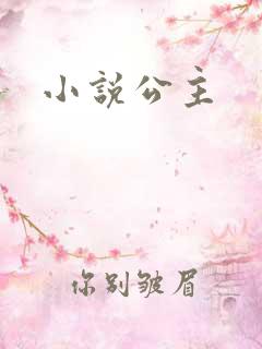 小说公主