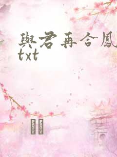 与君再合凤求凰txt