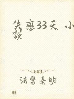 失恋33天 小说