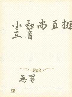 小和尚直挺挺的立着