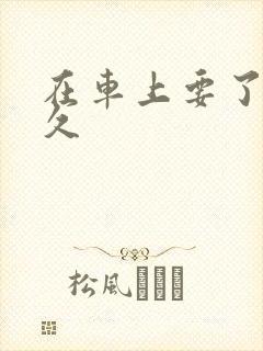 在车上要了我很久